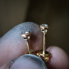 Carica l'immagine nel visualizzatore di Gallery, Orecchini Marilena