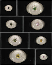 Carica l'immagine nel visualizzatore di Gallery, Chevalier argento e Tormalina